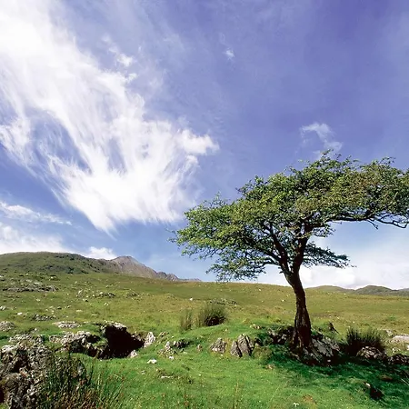 290 - Clifden