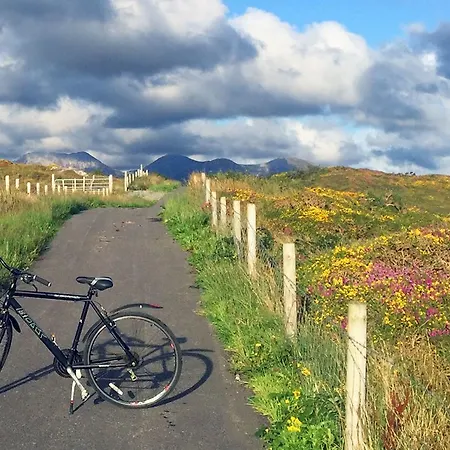 290 - Clifden